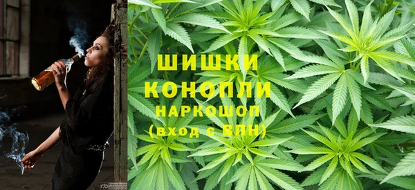 амф Аркадак