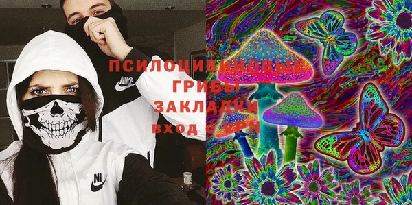 амф Аркадак