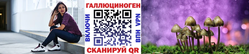 Галлюциногенные грибы мицелий  Купить закладки  Бутурлиновка 